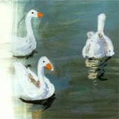 Kleine Aquarelle
